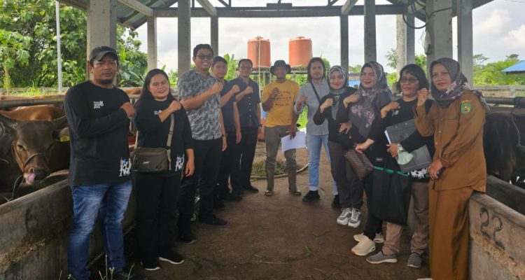 DTPHP Kutim Lakukan Pemeriksaan Antemortem hewan ternak jelang hari raya kurban