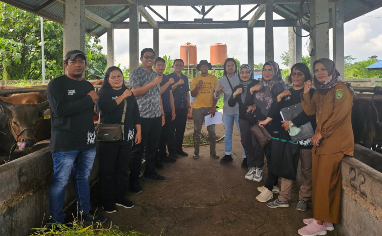 DTPHP Kutim Lakukan Pemeriksaan Antemortem hewan ternak jelang hari raya kurban